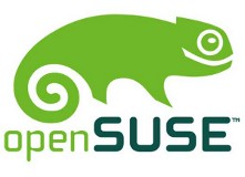 OpenSUSE-logotyp. En av de Linux-distributioner du kan använda till din VPS hos Loopia.